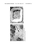 ARID LAND SOIL CRUST RESTORATION diagram and image