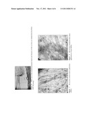 ARID LAND SOIL CRUST RESTORATION diagram and image