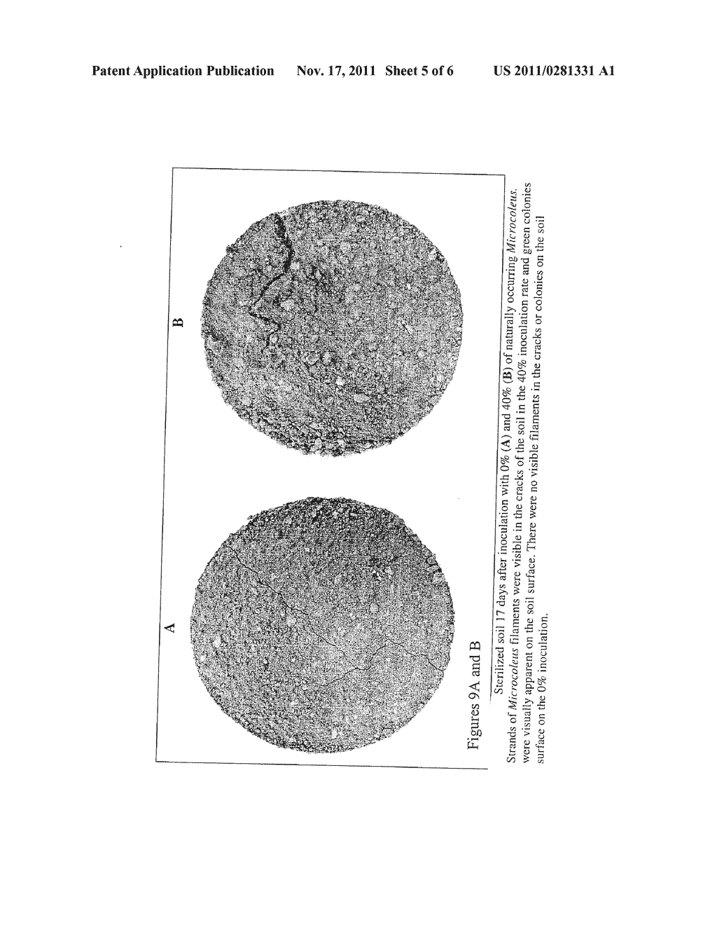 ARID LAND SOIL CRUST RESTORATION - diagram, schematic, and image 06