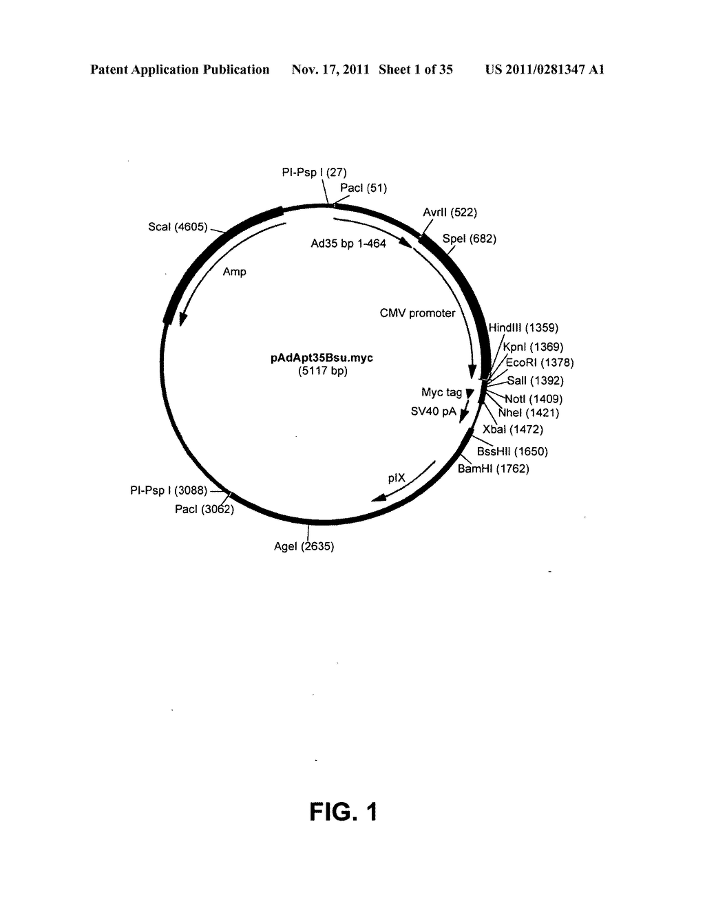 Multivalent vaccines comprising recombinant viral vectors - diagram, schematic, and image 02