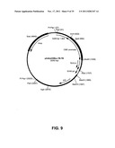 Multivalent vaccines comprising recombinant viral vectors diagram and image