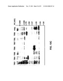 Multivalent vaccines comprising recombinant viral vectors diagram and image