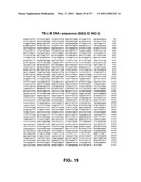 Multivalent vaccines comprising recombinant viral vectors diagram and image