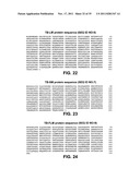 Multivalent vaccines comprising recombinant viral vectors diagram and image