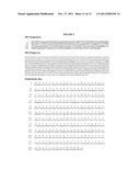 PROTEIN-BASED ASSAYS FOR SCREENING OF THE IGE-RECEPTOR INTERACTION diagram and image