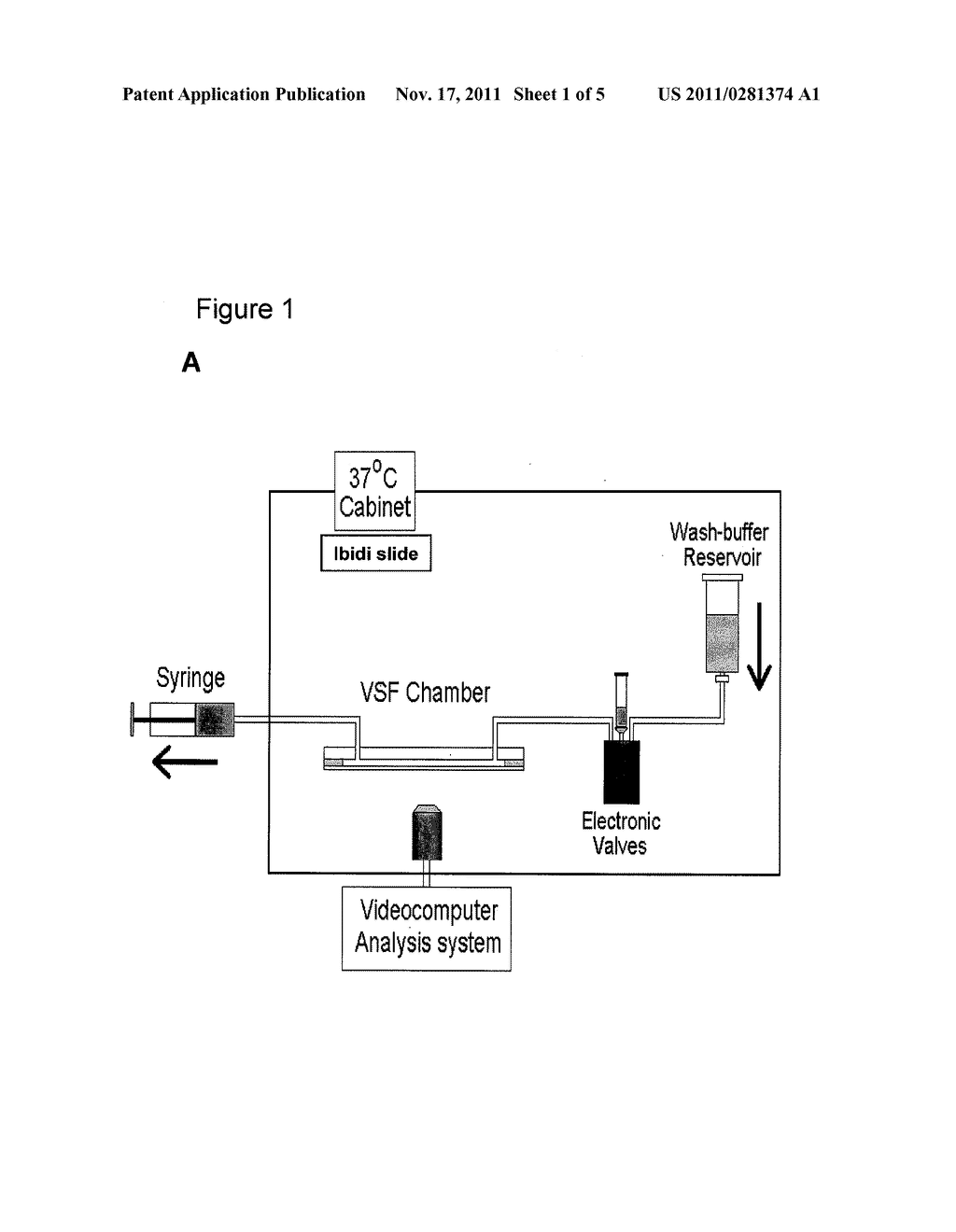 BIOMARKER - diagram, schematic, and image 02