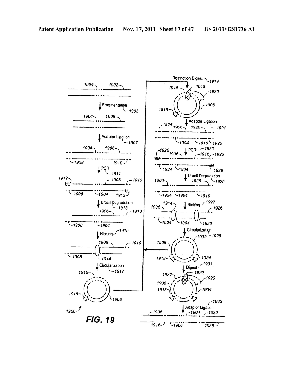 Nucleic Acid Sequencing and Process - diagram, schematic, and image 18