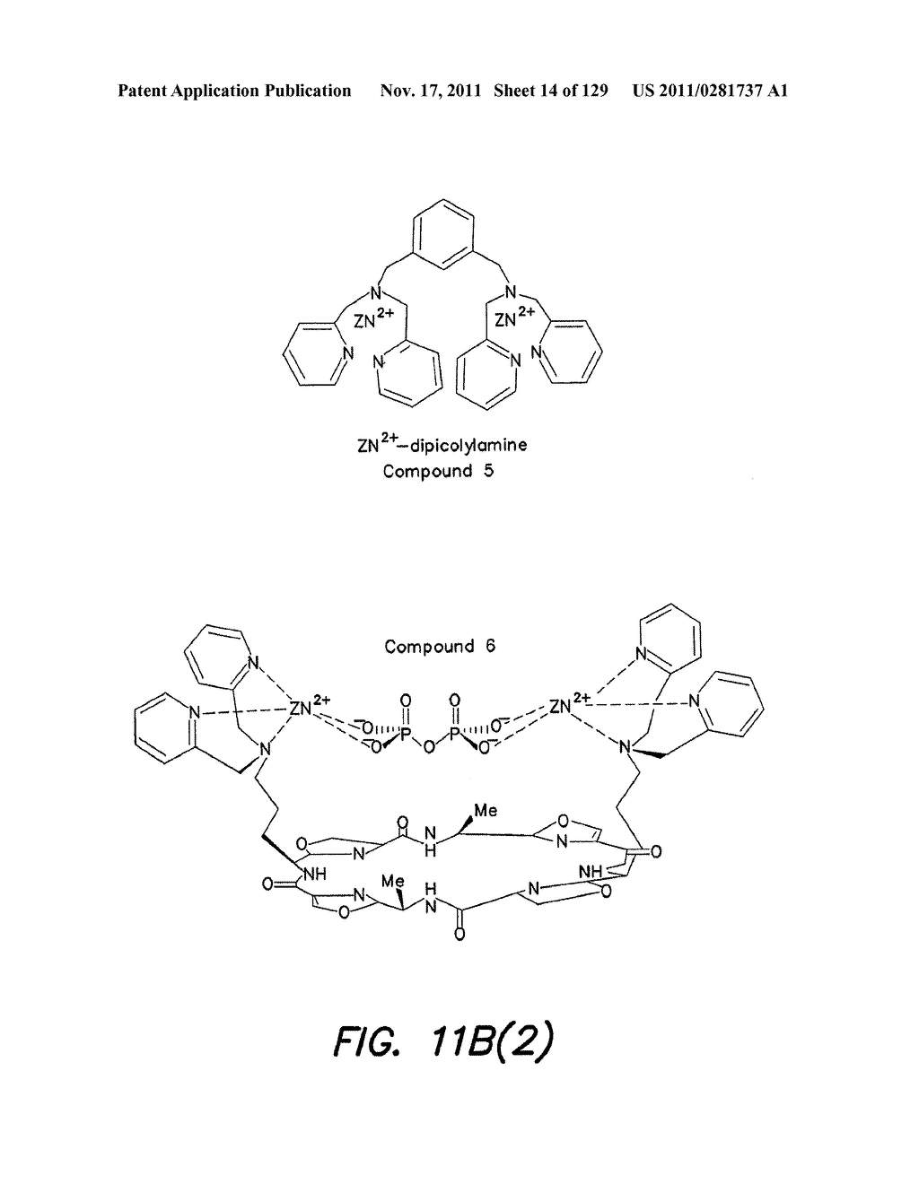 Method and Apparatus for Rapid Nucleic Acid Sequencing - diagram, schematic, and image 15