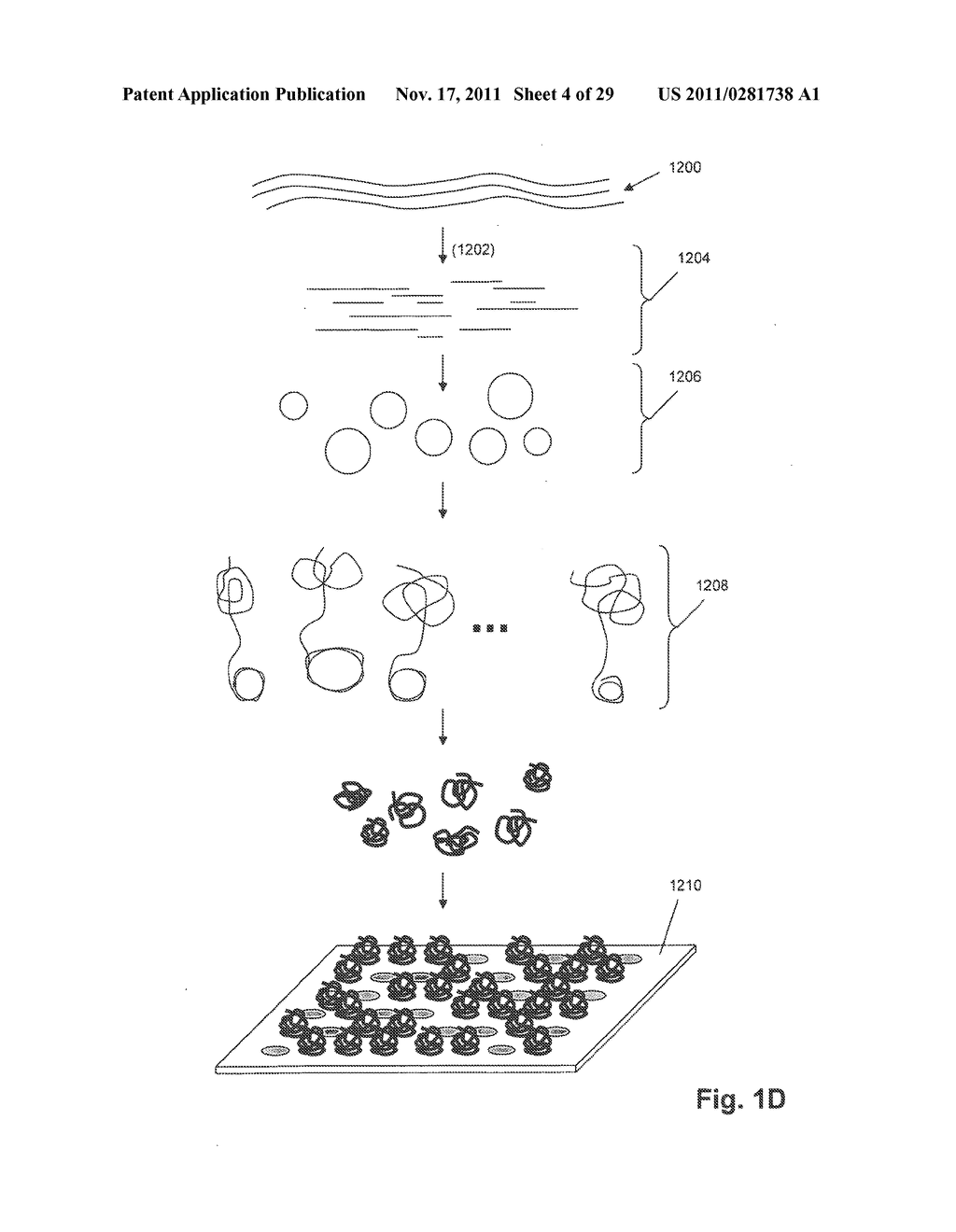 SELF-ASSEMBLED SINGLE MOLECULE ARRAYS AND USES THEREOF - diagram, schematic, and image 05