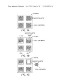 SYSTEMS AND METHODS FOR ISOLATING CELLS IN CELL COLONIES IN CULTURE diagram and image