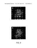 SYSTEMS AND METHODS FOR ISOLATING CELLS IN CELL COLONIES IN CULTURE diagram and image