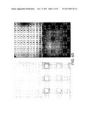 SYSTEMS AND METHODS FOR ISOLATING CELLS IN CELL COLONIES IN CULTURE diagram and image