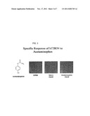 HUMAN T2R RECEPTORS FOR ACETAMINOPHEN, RANITIDINE, STRYCHNINE AND     DENATONIUM AND RELATED ASSAYS FOR IDENTIFYING HUMAN BITTER TASTE     MODULATORS diagram and image