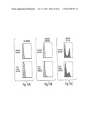 MULTI-CHAIN EUKARYOTIC DISPLAY VECTORS AND USES THEREOF diagram and image