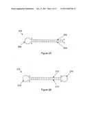 DIAGNOSTIC SEQUENCING WITH SMALL NUCLEIC ACID CIRCLES diagram and image