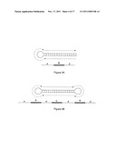 DIAGNOSTIC SEQUENCING WITH SMALL NUCLEIC ACID CIRCLES diagram and image