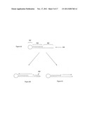 DIAGNOSTIC SEQUENCING WITH SMALL NUCLEIC ACID CIRCLES diagram and image