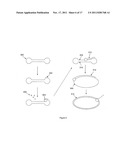 DIAGNOSTIC SEQUENCING WITH SMALL NUCLEIC ACID CIRCLES diagram and image