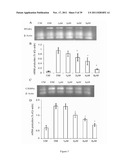 Pharmaceutical compositions containing berberine for treatment or     prevention of weight gain and obesity associated with anti-psychotic     drugs diagram and image