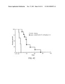 COMPOSITIONS AND METHODS FOR THE PREVENTION AND TREATMENT OF CANCER diagram and image