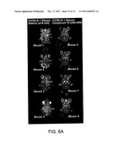 COMPOSITIONS AND METHODS FOR THE PREVENTION AND TREATMENT OF CANCER diagram and image