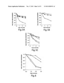 RNA SEQUENCE-SPECIFIC MEDIATORS OF RNA INTERFERENCE diagram and image