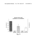 RNA SEQUENCE-SPECIFIC MEDIATORS OF RNA INTERFERENCE diagram and image