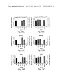 RNA SEQUENCE-SPECIFIC MEDIATORS OF RNA INTERFERENCE diagram and image