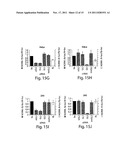 RNA SEQUENCE-SPECIFIC MEDIATORS OF RNA INTERFERENCE diagram and image