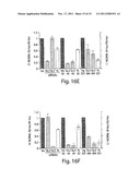 RNA SEQUENCE-SPECIFIC MEDIATORS OF RNA INTERFERENCE diagram and image