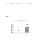 METHODS OF TREATING COGNITIVE DISORDERS BY INHIBITION OF GPR12 diagram and image