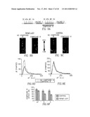 METHODS AND COMPOSITIONS FOR TREATING NEURONAL DAMAGE AND MODULATING     TRANSIENT RECEPTOR POTENTIAL CHANNELS diagram and image