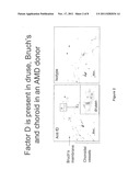 PREVENTION AND TREATMENT OF COMPLEMENT-ASSOCIATED EYE CONDITIONS diagram and image