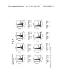 ANTIBODY PREPARATION diagram and image