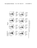 ANTIBODY PREPARATION diagram and image