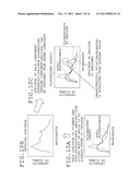 FLUORESCENT ENDOSCOPE APPARATUS diagram and image