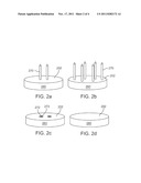 LONG-TERM IMPLANTABLE BIOSENSOR diagram and image