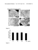 FIBROBLAST GROWTH FACTOR-9 PROMOTES HAIR FOLLICLE REGENERATION AFTER     WOUNDING diagram and image