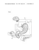 NERVE STIMULATION AND BLOCKING FOR TREATMENT OF GASTROINTESTINAL DISORDERS diagram and image