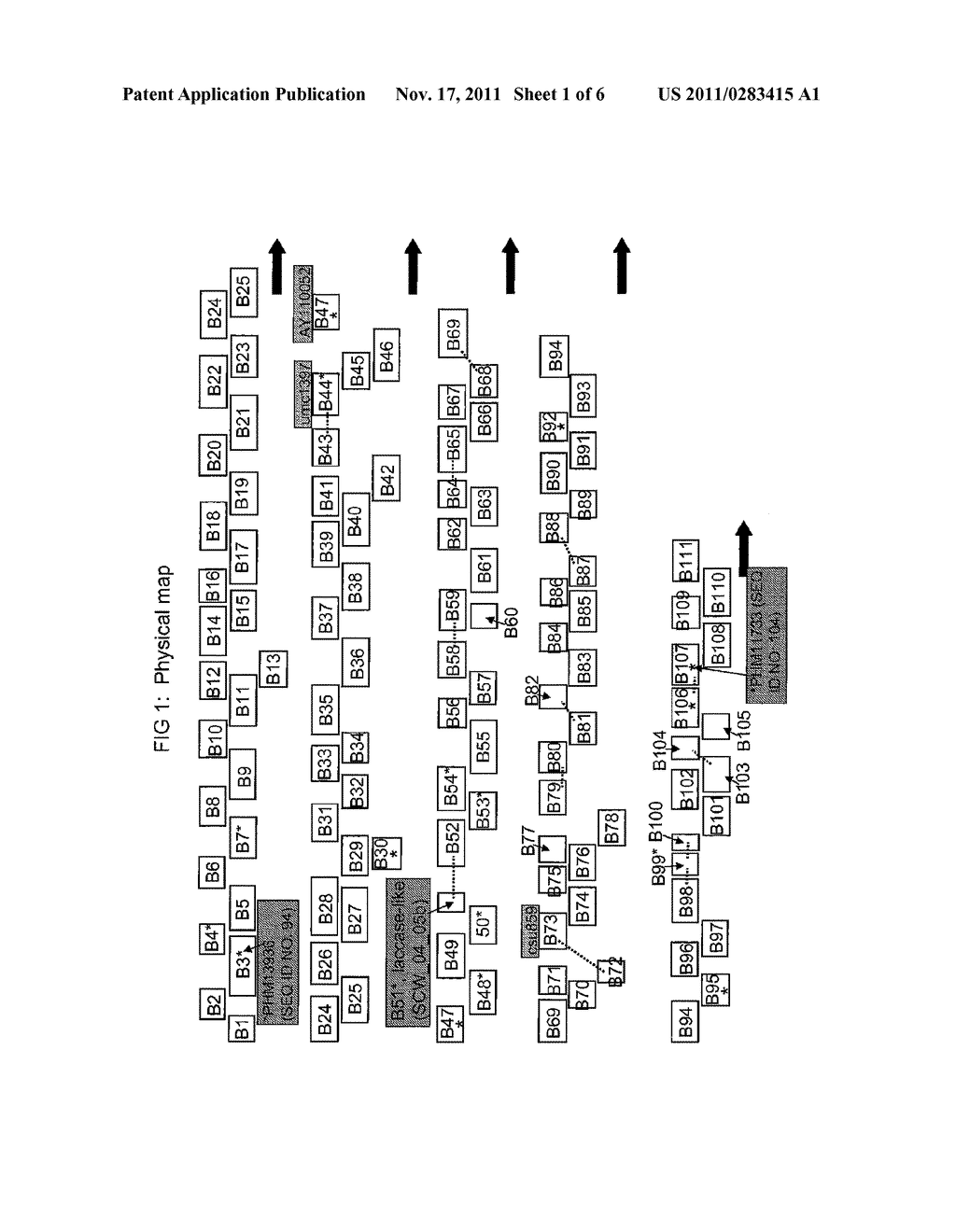 GENETIC LOCI ASSOCIATED WITH CELL WALL DIGESTIBILITY IN MAIZE - diagram, schematic, and image 02