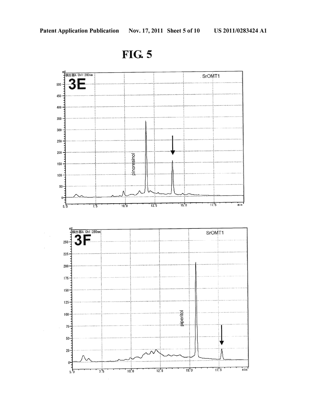 Gene Encoding Lignan Methylation Enzyme - diagram, schematic, and image 06