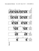 PRINTING METHOD AND PRINTING APPARATUS diagram and image