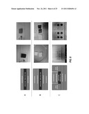 Self-Assembled Surfactant Structures diagram and image