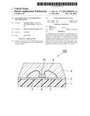 Electronic device incorporating the white resin diagram and image