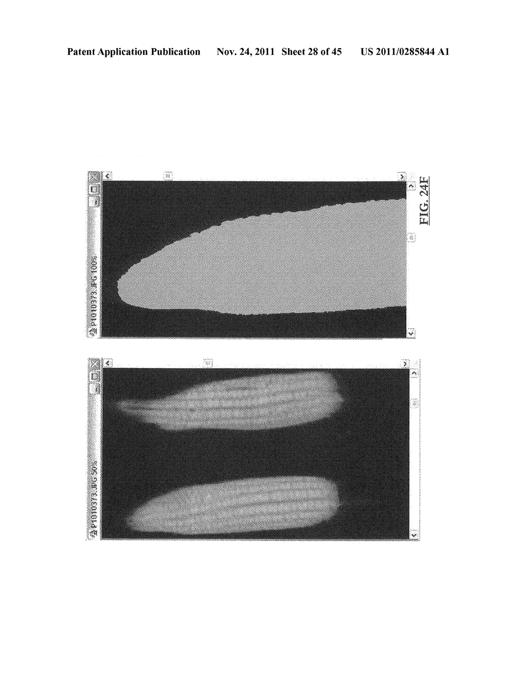 METHOD AND SYSTEM FOR DIGITAL IMAGE ANALYSIS OF EAR TRAITS - diagram, schematic, and image 29