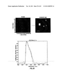 IMAGE MAPPING SPECTROMETERS diagram and image