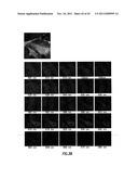 IMAGE MAPPING SPECTROMETERS diagram and image