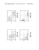 Selecting Transforms for Compressing Visual Data diagram and image