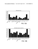 Selecting Transforms for Compressing Visual Data diagram and image