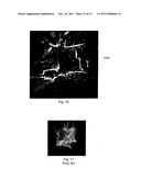 Spatially Registering User Photographs diagram and image